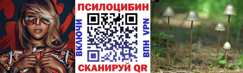 Галлюциногенные грибы Cubensis  Голицыно 